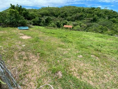 Fazenda, 214 hectares - Foto 3