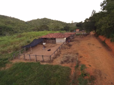 Terreno, 30 hectares - Foto 3