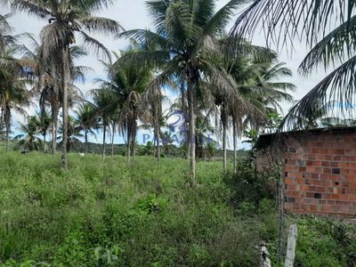Fazenda, 77 hectares - Foto 3