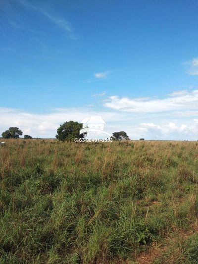 Fazenda, 1 m² - Foto 2