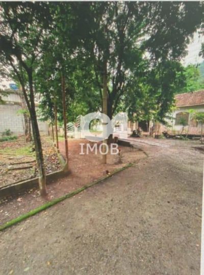 Sítio, 4 quartos, 6000 m² - Foto 4