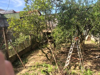 Casa, 3 quartos, 130 m² - Foto 5
