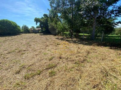 Loteamento e Condomínio, 1000 m² - Foto 5