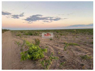 Fazenda, 1 hectares - Foto 3