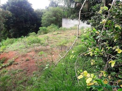 Terreno, 1772 m² - Foto 2