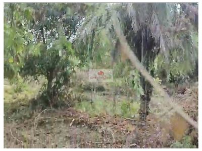 Fazenda, 726 m² - Foto 3