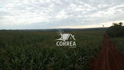 Fazenda, 97 hectares - Foto 4