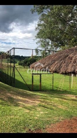 Sítio, 5 m² - Foto 3