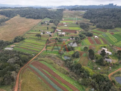 Sítio - Foto 1