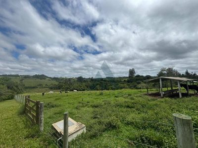 Sítio, 3 quartos, 20 hectares - Foto 3