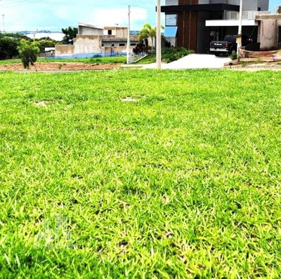Terreno, 300 m² - Foto 1