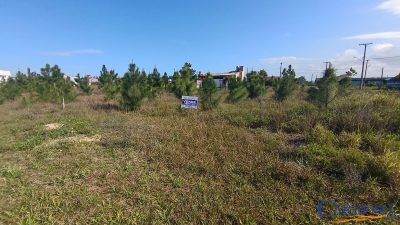 Terreno, 300 m² - Foto 4