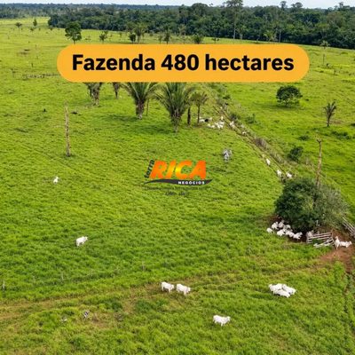 Fazenda, 480 hectares - Foto 2