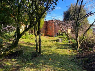 Terreno, 519 m² - Foto 2