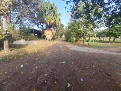 Fazenda, 200 m² - Foto 4