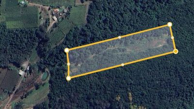 Sítio, 400 hectares - Foto 1