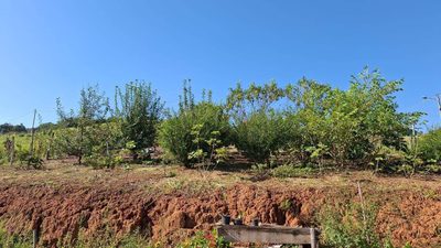 Chácara, 2 quartos, 5938 m² - Foto 4