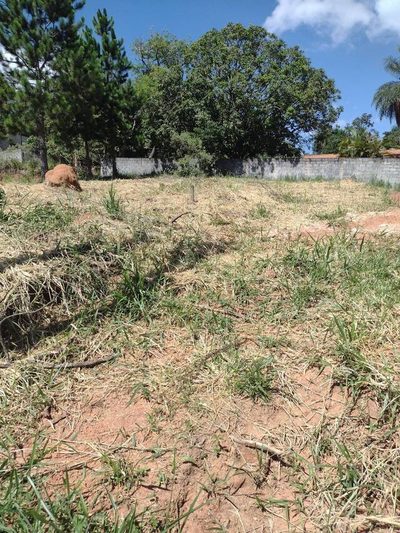 Terreno, 1000 m² - Foto 1