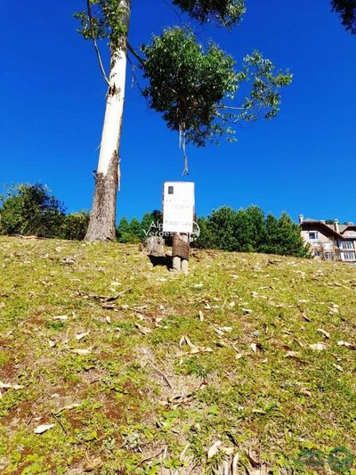 Terreno, 1112 m² - Foto 4