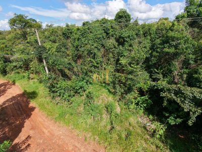 Chácara, 5000 m² - Foto 4