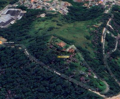 Terreno, 3 hectares - Foto 4