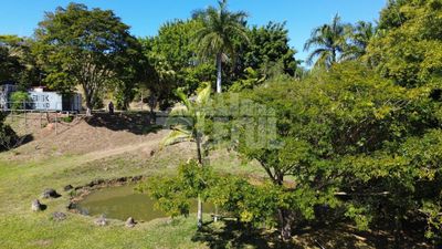 Chácara, 1 quarto - Foto 5