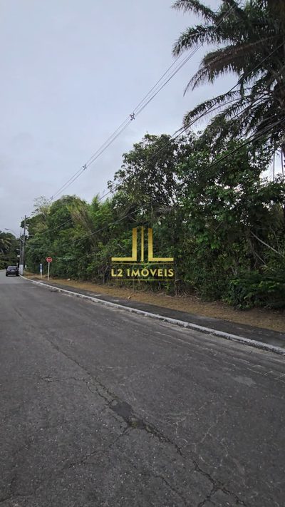 Terreno, 9000 m² - Foto 3