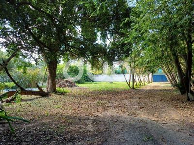 Sítio, 2 quartos, 3600 m² - Foto 1