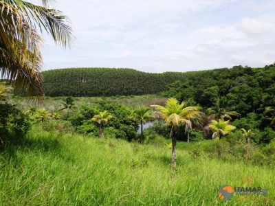 Terreno, 2600 m² - Foto 3