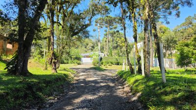 Terreno, 2500 m² - Foto 3