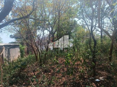 Terreno, 9959 m² - Foto 3