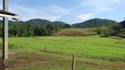 Terreno, 8 hectares - Foto 4