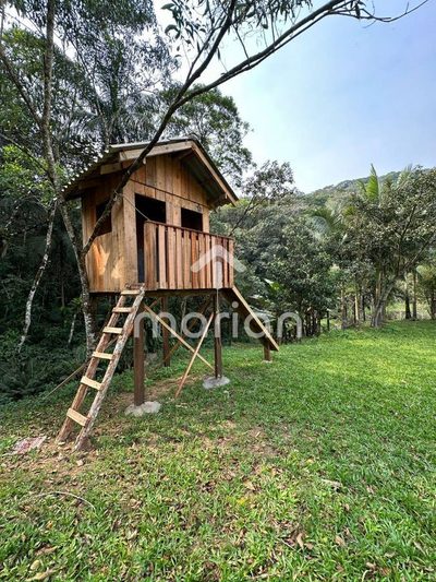 Sítio, 2 hectares - Foto 3