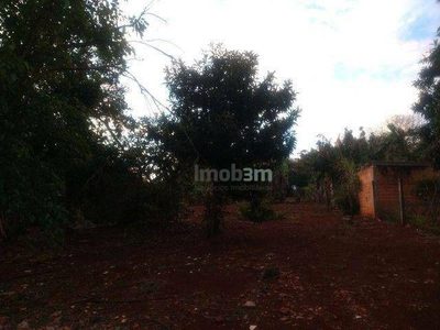 Chácara, 3 quartos, 3300 m² - Foto 2