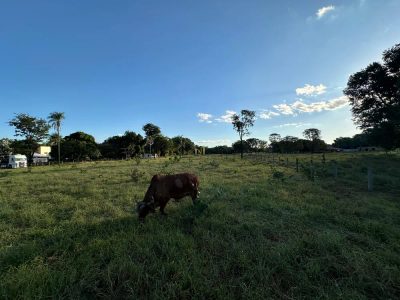 Terreno, 10000 m² - Foto 4