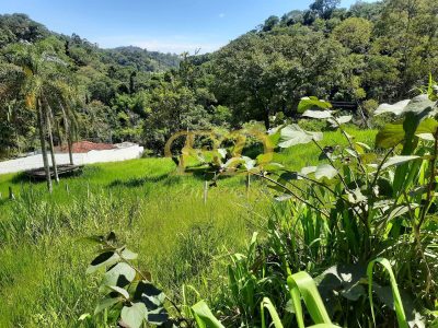 Terreno, 2951 m² - Foto 1