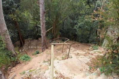 Sítio, 3 quartos, 2 hectares - Foto 2