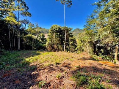 Terreno, 1 hectares - Foto 4