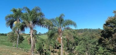Terreno, 12 m² - Foto 4