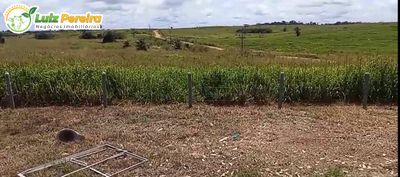 Terreno, 2628 m² - Foto 5