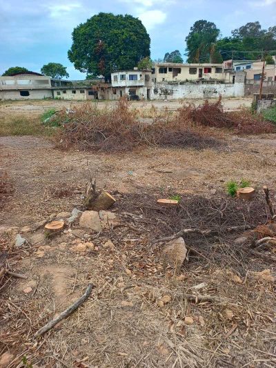 Terreno, 1 hectares - Foto 3