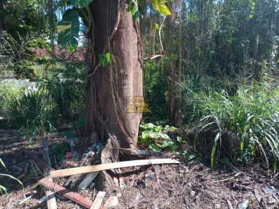 Terreno, 1000 m² - Foto 1