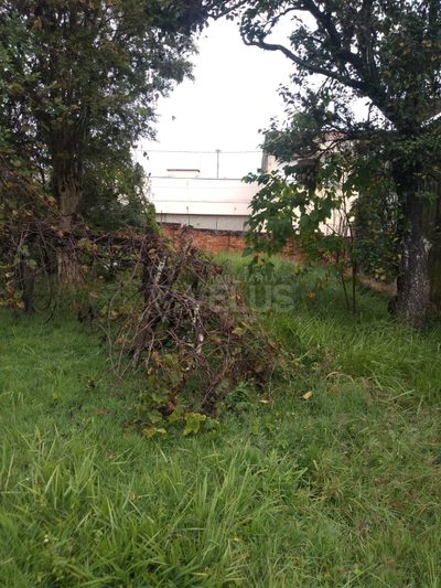Casa, 3 quartos, 173 m² - Foto 3