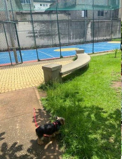 Apartamento, 3 quartos, 70 m² - Foto 4