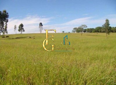 Terreno, 21 hectares - Foto 3