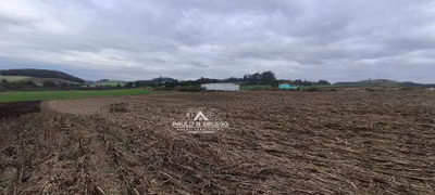 Fazenda, 13 hectares - Foto 5