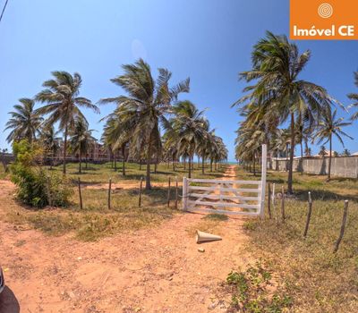 Terreno, 2 hectares - Foto 3