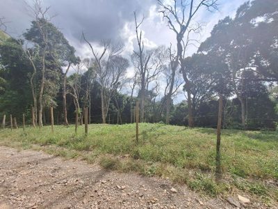 Terreno, 1575 m² - Foto 5