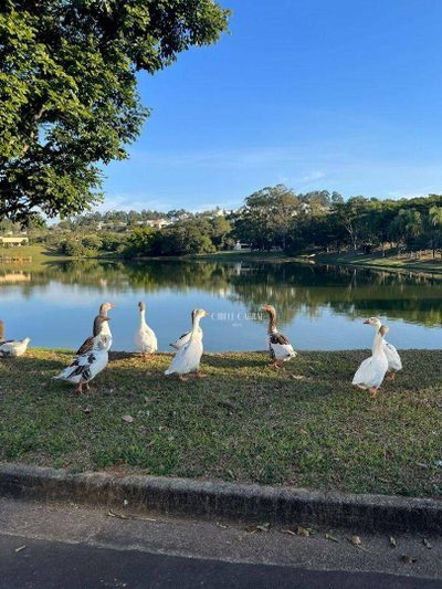 Loteamento e Condomínio, 780 m² - Foto 5