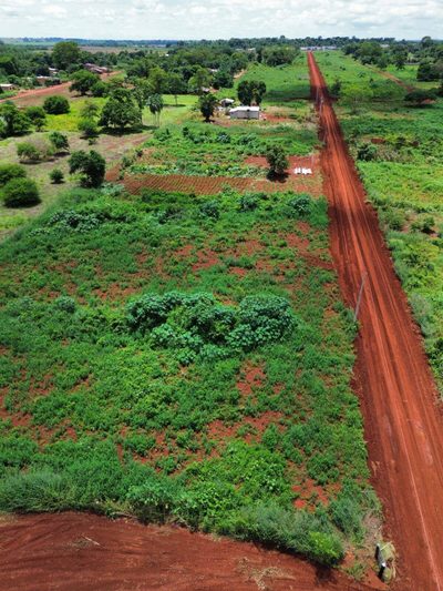 Terreno - Foto 4